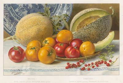 Melonen und Tomaten von English School