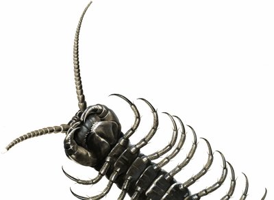 Tusindben af English School