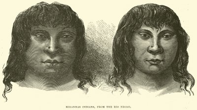 Miranhas indianere, fra Rio sort af English School
