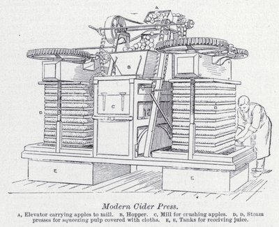 Moderner Apfelweinpresse von English School