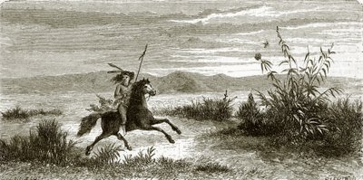 Mohave rytter af English School