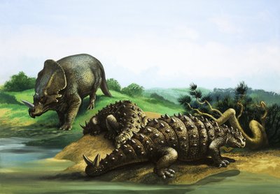 Monoclonius og Scolosaurus af English School