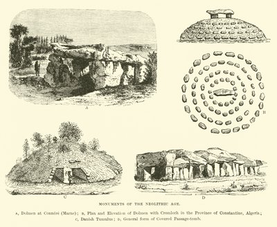 Monumenter fra yngre stenalder af English School