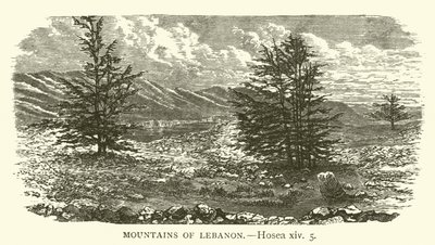 Libanons bjerge, Hosea, xiv, 5 (gravering) af English School
