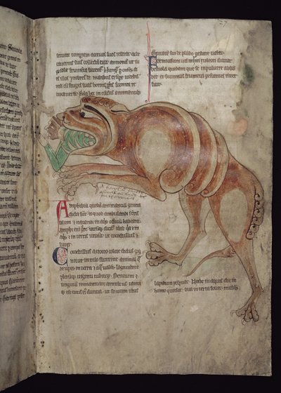 Ms.254 f.24 r Cocodrillus, der sluger en mand af English School