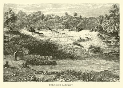 Murchison Katarakt af English School