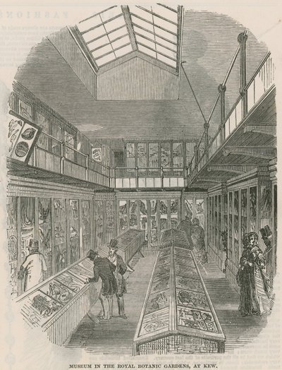 Museum i Royal Botanic Gardens i Kew af English School