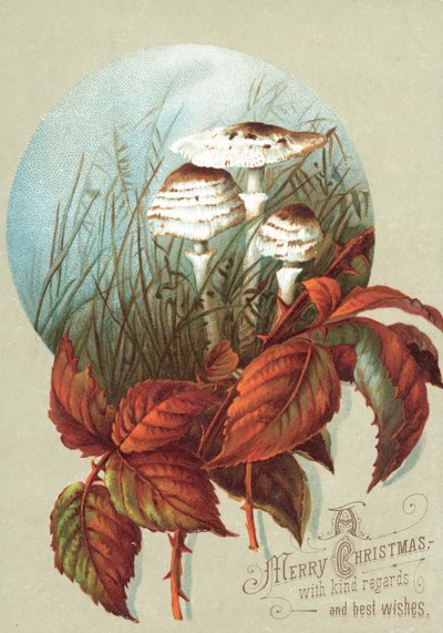 Pilze und Blätter, Weihnachtskarte von English School