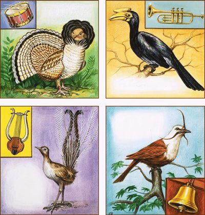 Musikinstrument Fugle af English School