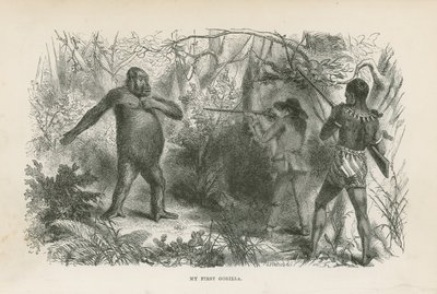 Min første gorilla af English School