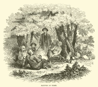 Natives of Tibet  af English School