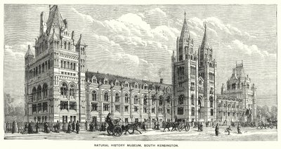 Natural History Museum, South Kensington (gravering) af English School