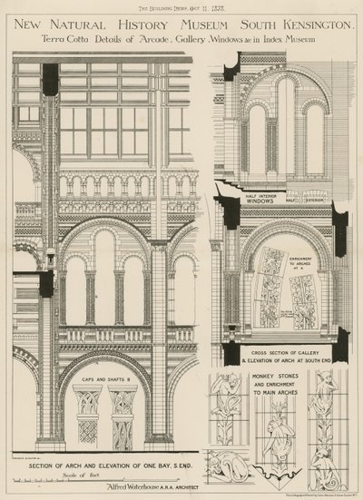 New Natural History Museum, South Kensington, London af English School