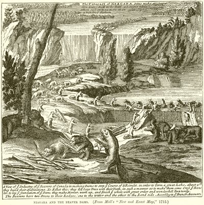 Niagara og Beaver-dæmningerne af English School