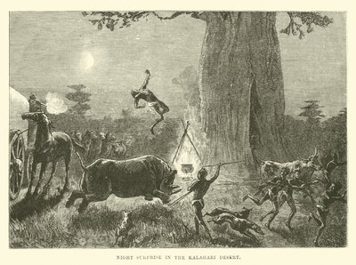 Nächtliche Überraschung in der Kalahari-Wüste von English School