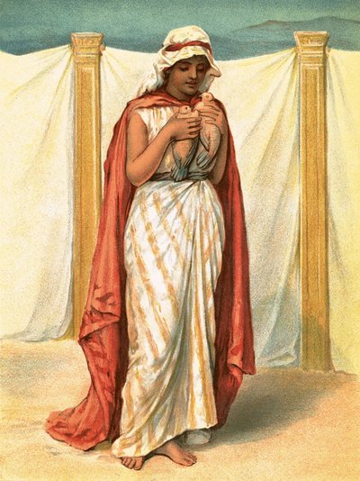 Udbud af rensning af English School