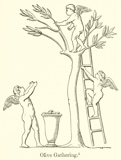 Olivensammenkomst af English School