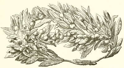 Olivenkrans i guld af English School