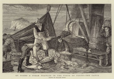 An Bord eines Dampfschleppers im Firth of Forth, der Fang von English School