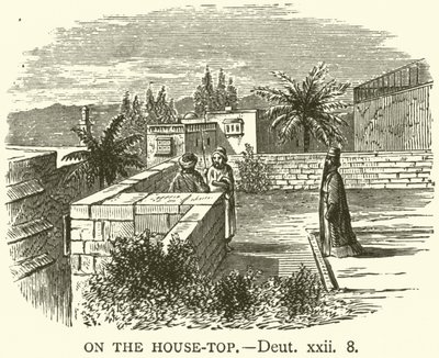 Auf dem Hausdach (Deuteronomium, xxii, 8) von English School