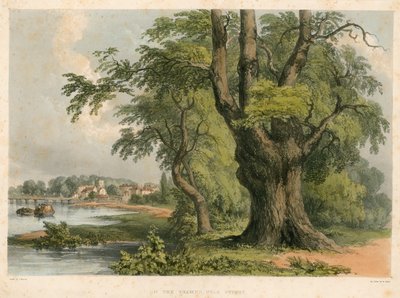 Ved Themsen, nær Putney, London af English School