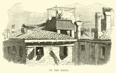 On the roofs  af English School