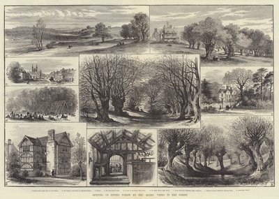 Åbning af Epping Forest by the Queen, Views in the Forest (gravering) af English School