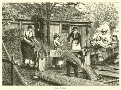 Osier-Peeling af English School