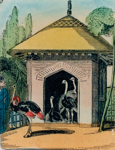 Strudse- og emuhus i Londons zoologiske have. 1840