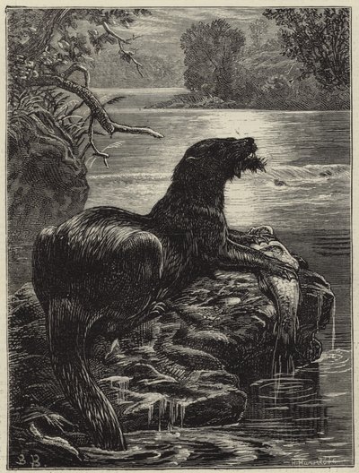 Odderjagt i nord af English School