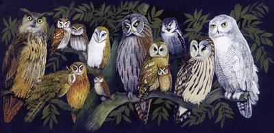 Ugler af English School