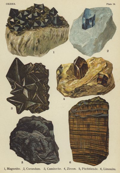 Oxider, magnetit, korund, kassiterit, zirkon, pechblende, limonit (farve litho) af English School