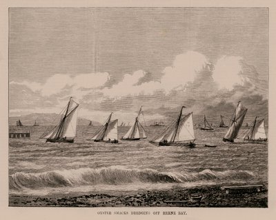 Austernfischer beim Ausbaggern vor Herne Bay (Gravur) von English School