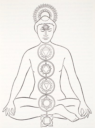 Padmasana eller lotusstilling af English School