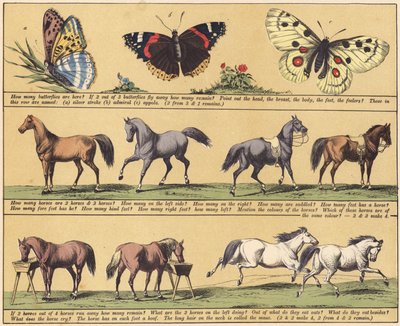 Side fra Den nye billedbog (farve litho) af English School