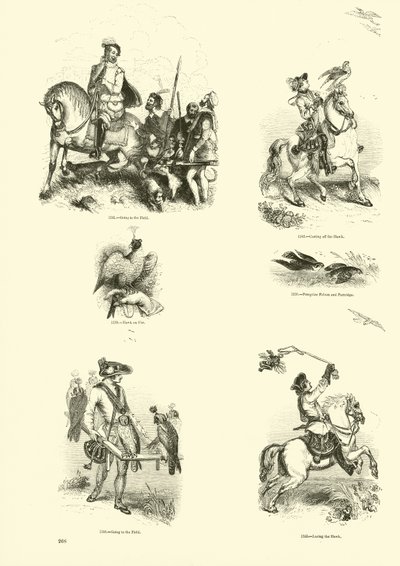 Side fra The Pictorial Museum of Animated Nature af English School