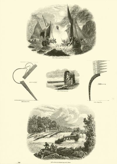 Side fra The Pictorial Museum of Animated Nature af English School