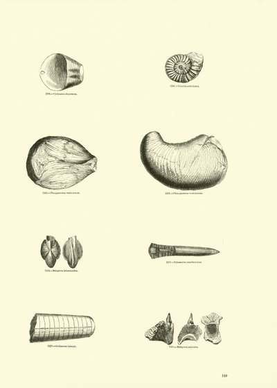Side fra The Pictorial Museum of Animated Nature af English School