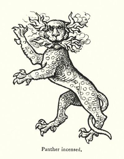 Panter oprørt (gravering) af English School