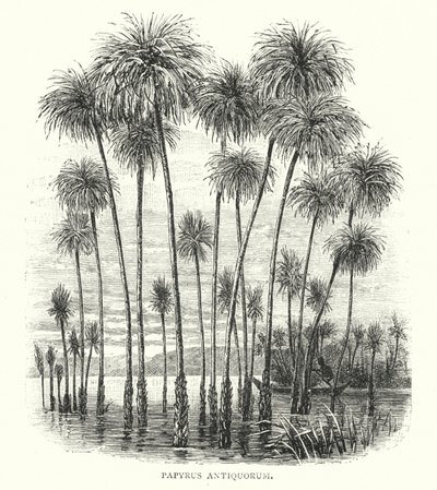 Gamle Papyrus (gravering) af English School