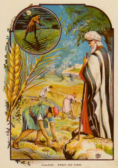 Lignelser, hvede og ukrudt (farve litho) af English School