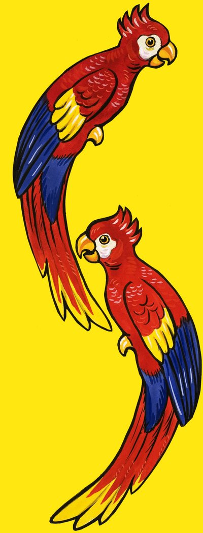 Papageien von English School