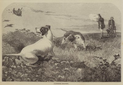 Agerhøneskydning (gravering) af English School