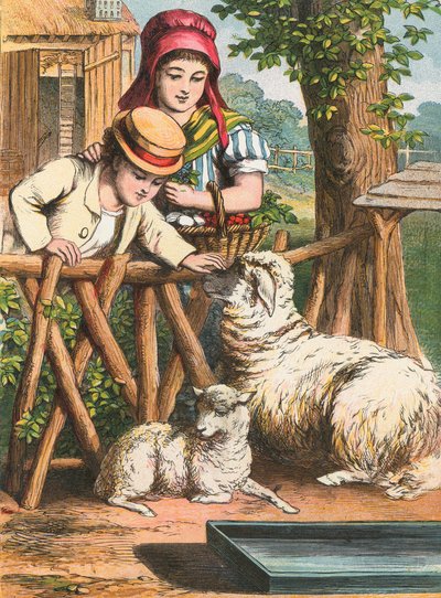 At klappe et får af English School