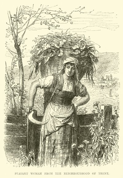 Peasant woman from the neighbourhood of Trent  af English School