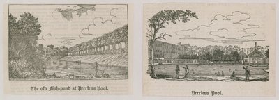 Peerless Pool af English School