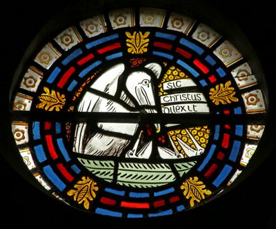 Pelikan fodrer sine unge af English School