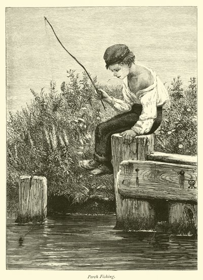 Aborre fiskeri af English School