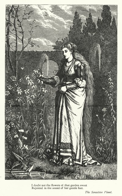 Percy Bysshe Shelley: Illustration til Den følsomme plante (kobberstik) af English School