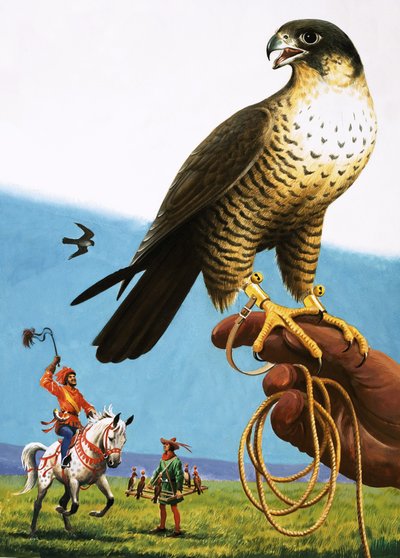 Vandrefalk af English School